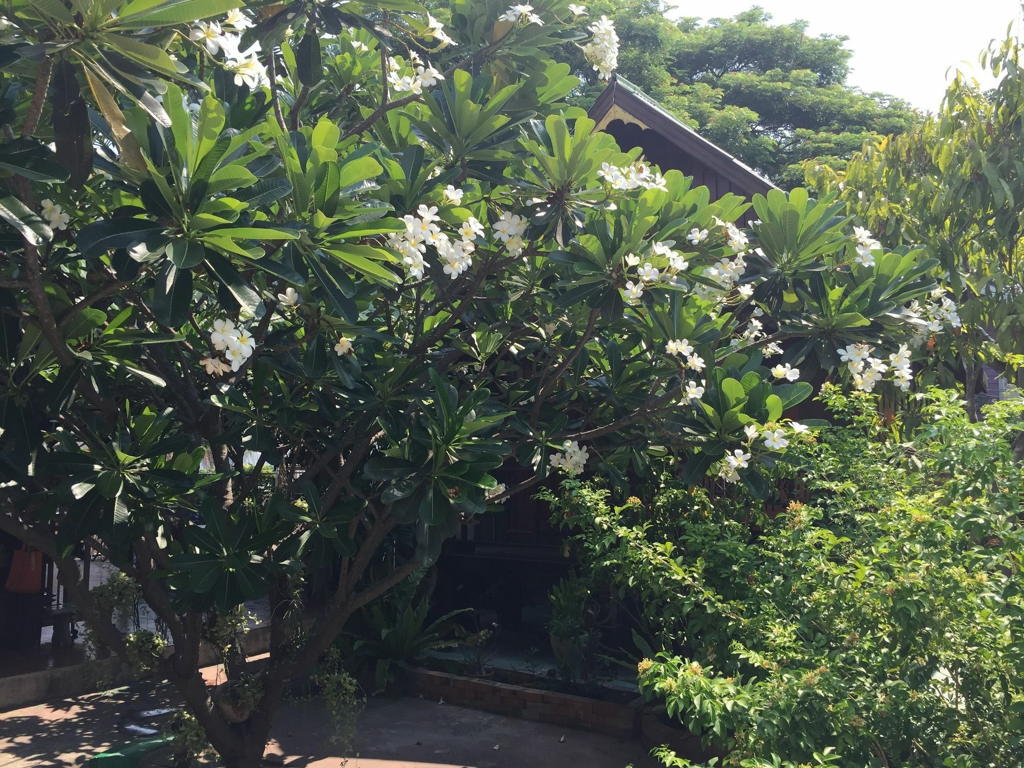 Baan Kong Homestay Phranakhonszi Ajutthaja Kültér fotó